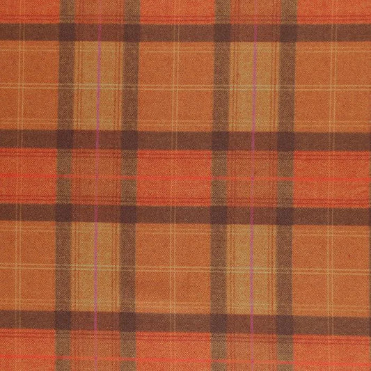 Clochard - Darvel